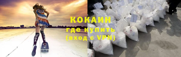 крисы Алзамай