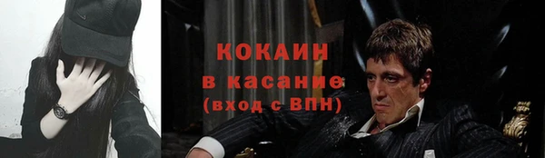 крисы Алзамай