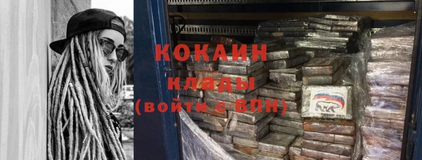крисы Алзамай